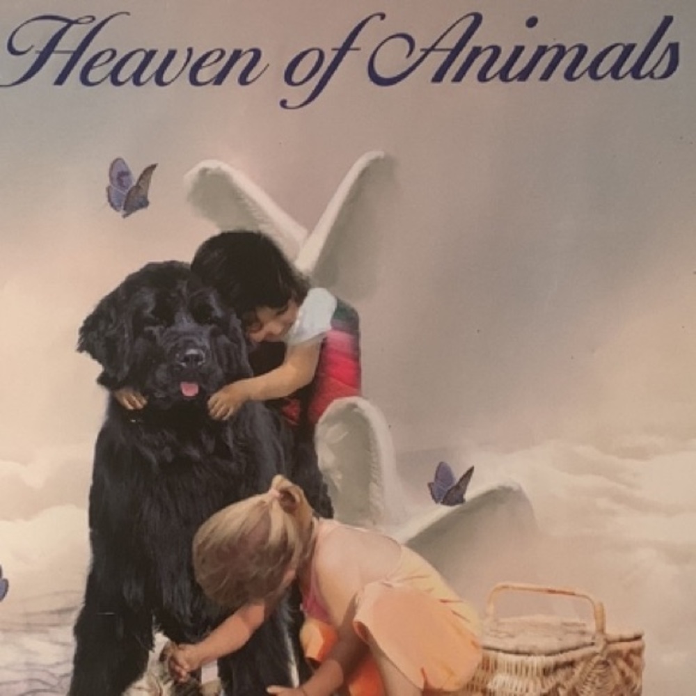 The Heaven of Animals
